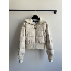 Louis Vuitton Down Jackets